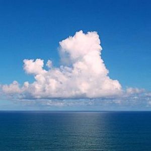 Meet your Posher, Nicolas